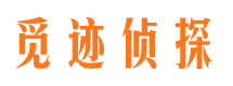 游仙侦探